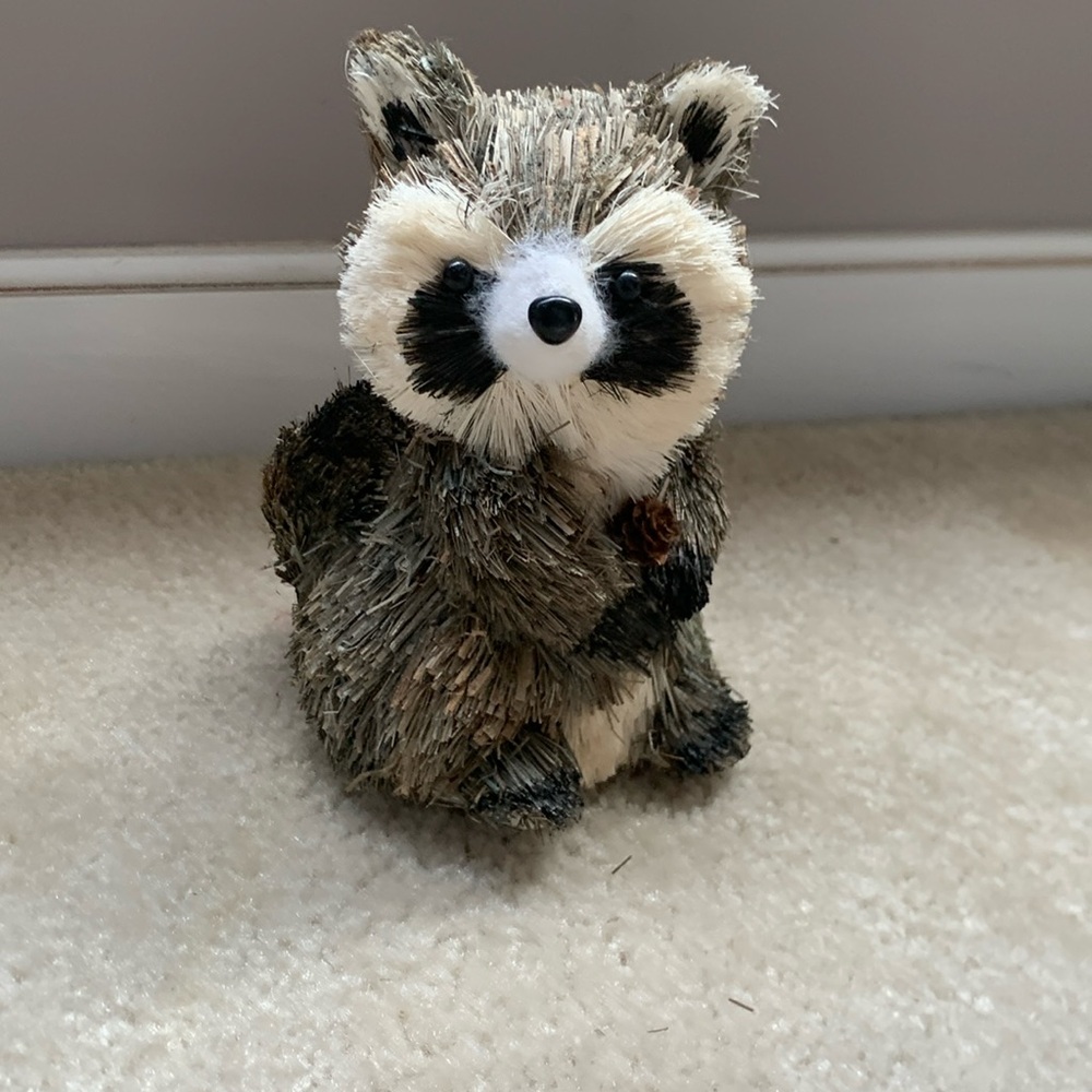 This is a raccoon holding a tiny acorn
